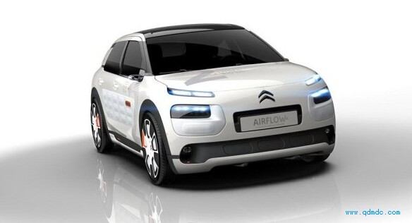 춯ϵͳ C4 Cactus³