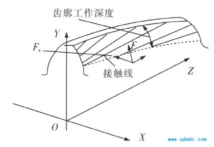 单个工作齿轮上的啮合线图